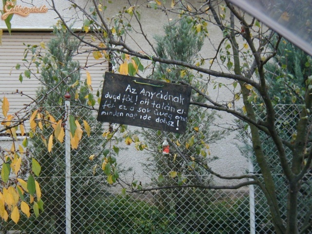 Az alkesz szomszédja