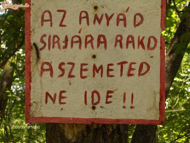 A szomszéd felhívása...