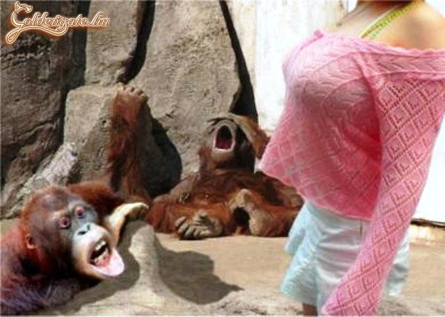 Kb. mi is ilyen fejet vágnánk...