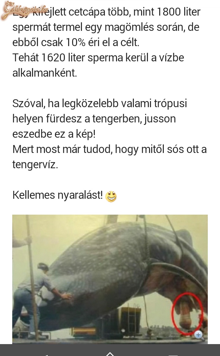 Mitől sós a tenger?
