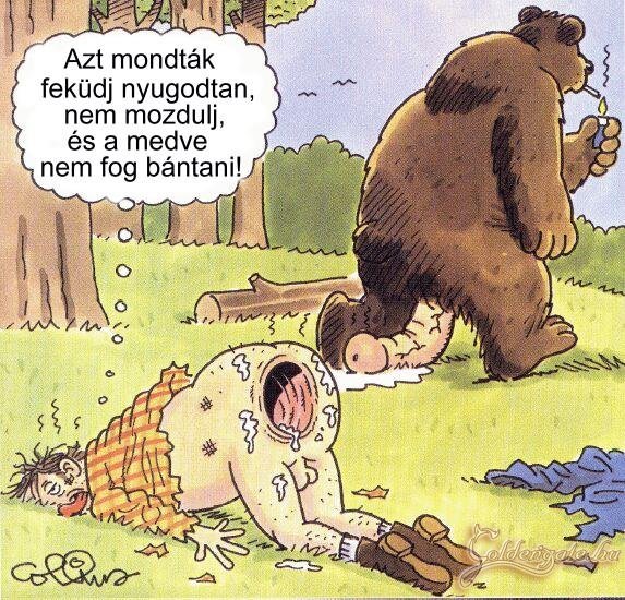 Az első tapasztalatok a medével!