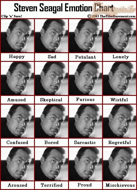 Steven Seagal arckifejezései