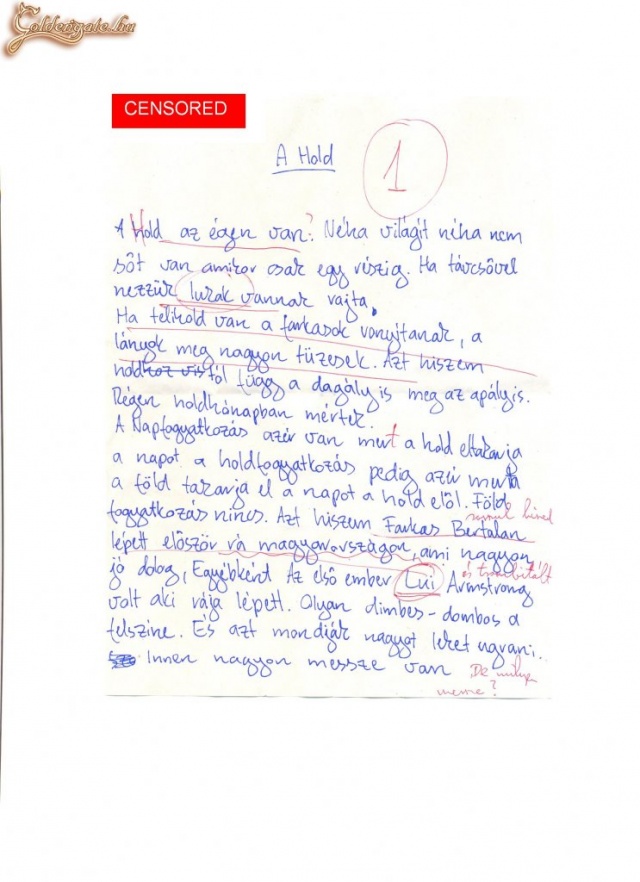 Foci doga -a hold - no comment