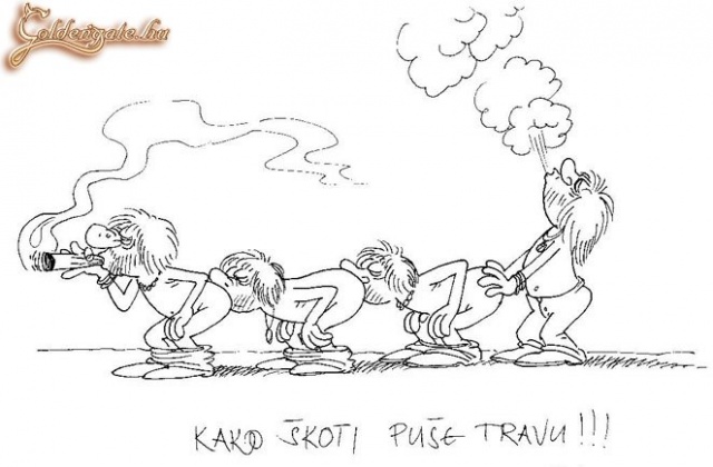 így füveznek a skótok