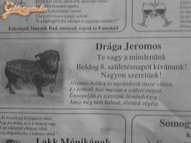 Jeromos biztosan örült neki