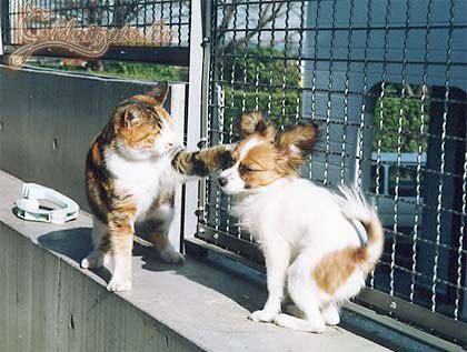 J*****s most megkapta