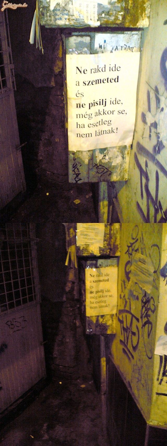 Ha kakilni kell, akkor se ide! :) (helyszín: 8.ker, népszínház utca, kínai büfé mellett)