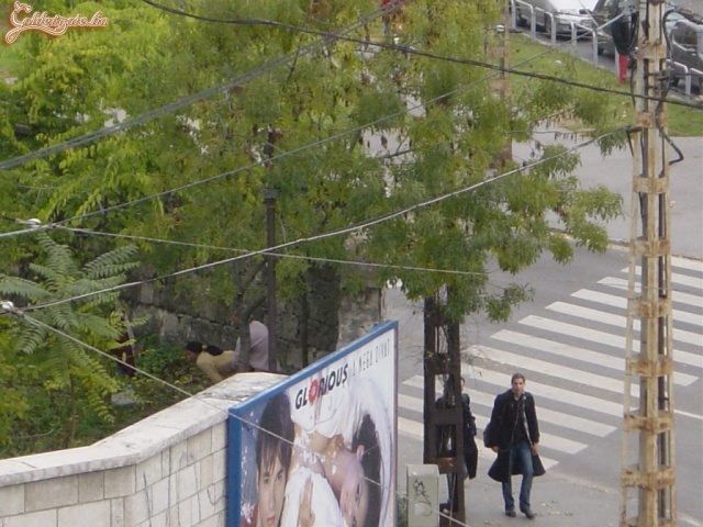 Szabad szerelem az Orczy téren