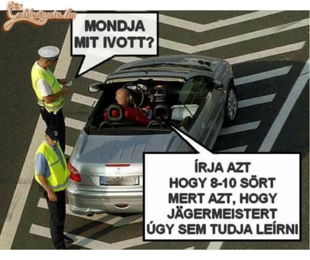 Mit ivott