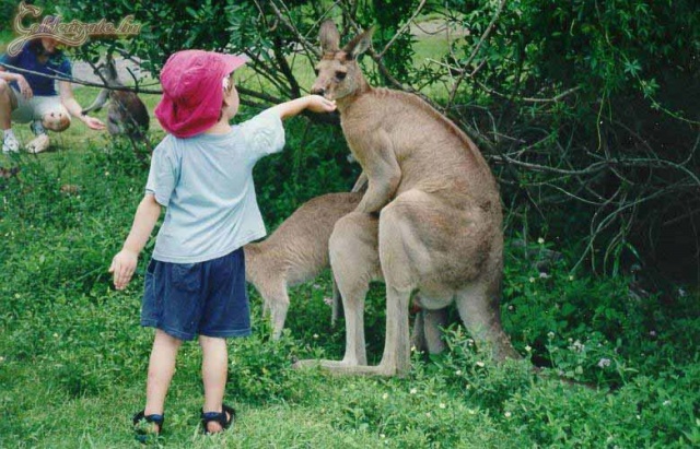 Állatkertben jártunk