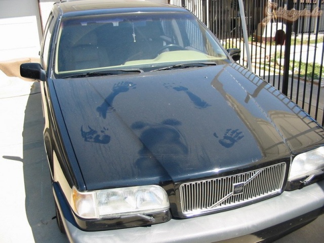 A hosszú motorháztető előnye! :)