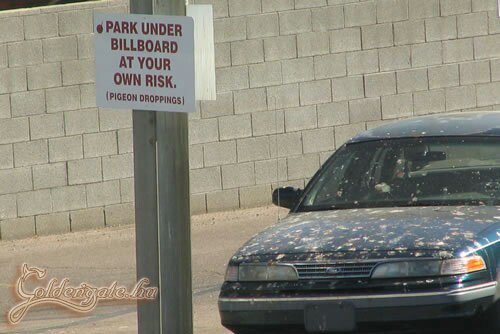 pedig ki is van írva