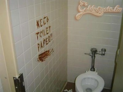 Elfogyott a WC papír!