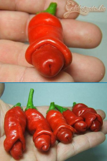 Fasza lett a termés (beküldte: Bgyo_1977)