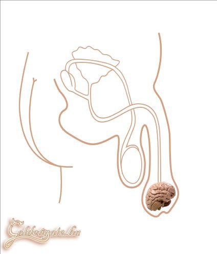 Új urológiai felfedezés!