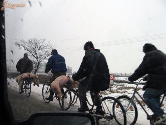 Ilyen hidegben mindig legyen az embernél tartalék kaja, ha elakadna útközben