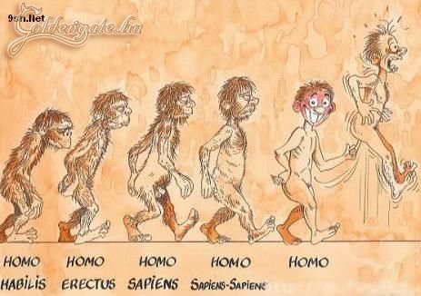 Evolúció