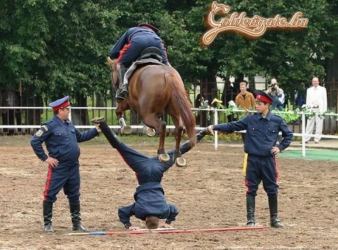 Na vajon lesz-e here műtét?