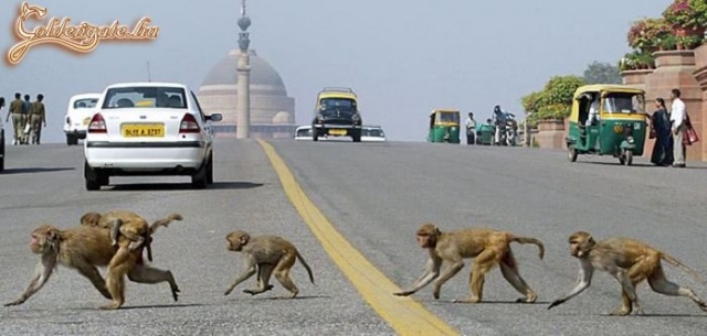 Azért még belefér egy kis ...