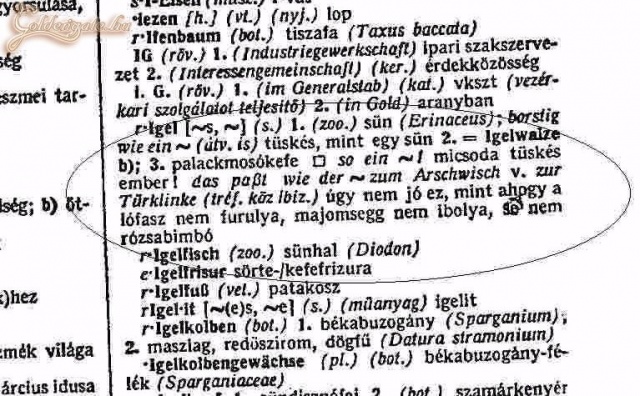 Német-Magyar szótár