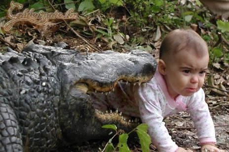 Na ez tényleg FAKE kép