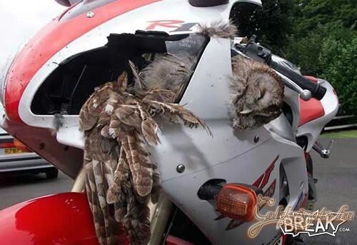 Ezt nem így tervezhette