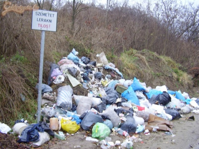 Nyilvánvaló