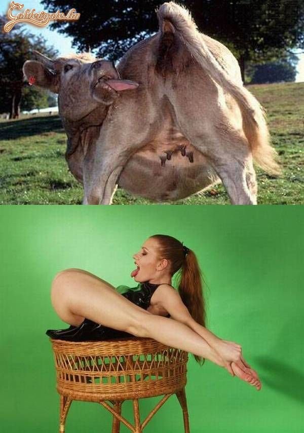 Na melyik éri el előbb?