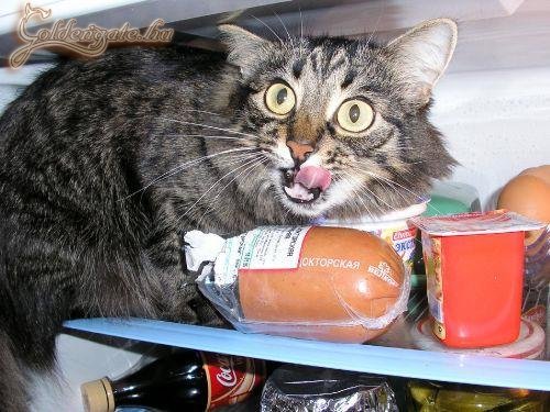 Ne nézz, kopjál le!