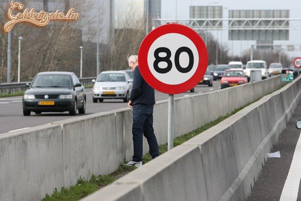 Ennél jobb helyen nem is lehetne!