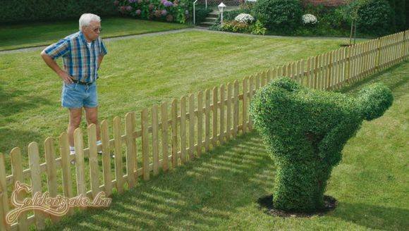 Kinyalhatod szomszéd!