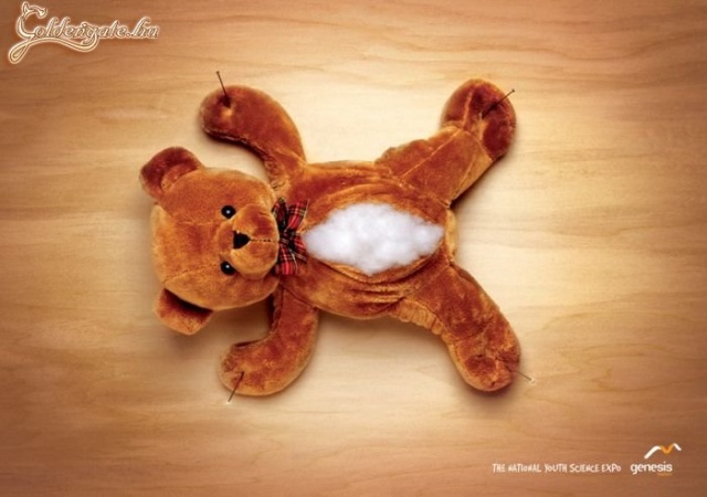 Brutális gyilkosság