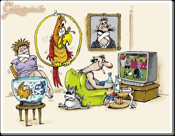 A profik így nézték a wb-t