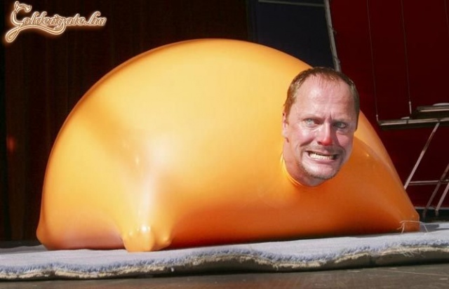 Engedjetek ki, vazzeg!