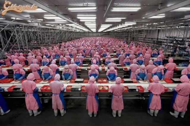 Barátságos légkör, fiatal csapat, karrierépítési lehetőség...