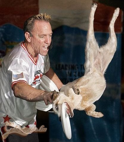 Jeromos újra a színen!