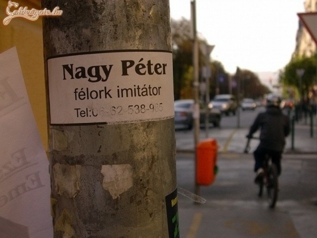 Biztos belerokkan a sok melóba az arc...