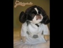 Yoda-klón