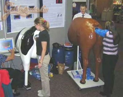 Az értelem netovábbja