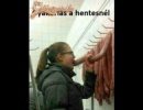 Gyakorlás a hentesnél