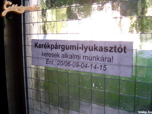 Alkalmi munka