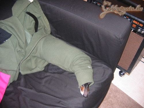 Jeromos új kabátja