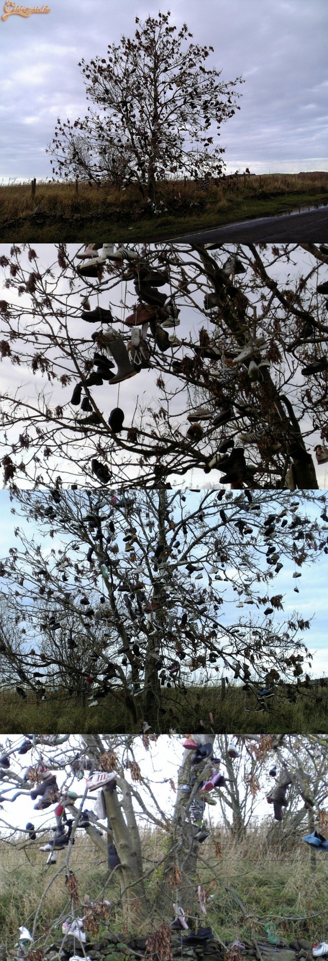 Valaki már most feldíszítette a fát