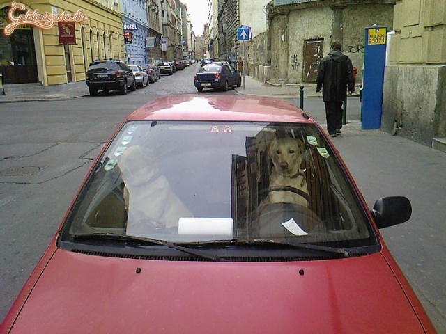 A következőnél menj jobbra!