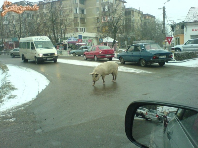 Na, most kinek van itt elsőbbsége?