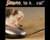 Sikíts te kurva