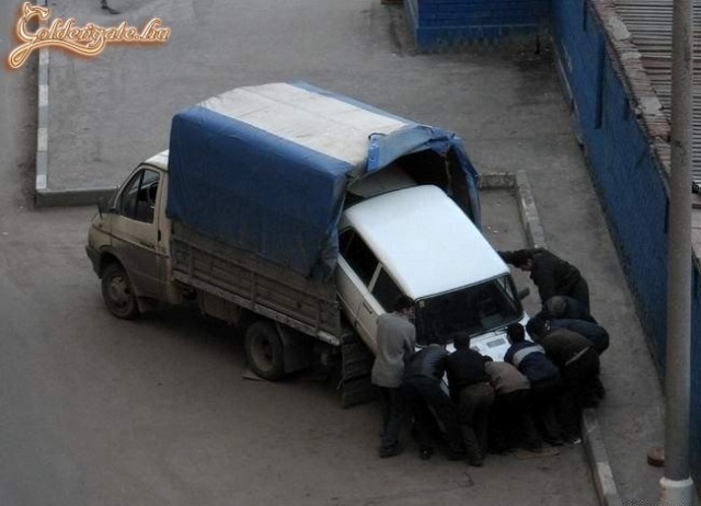 Költözködés
