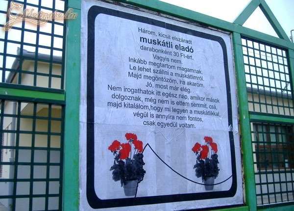 Nem volt jobb dolga épp...