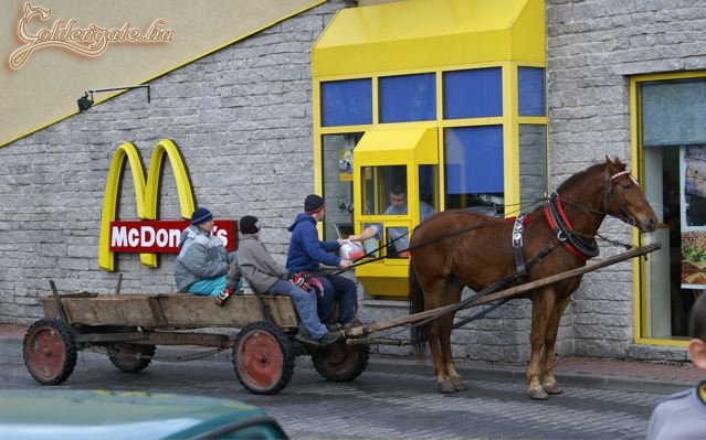 Román McDrive