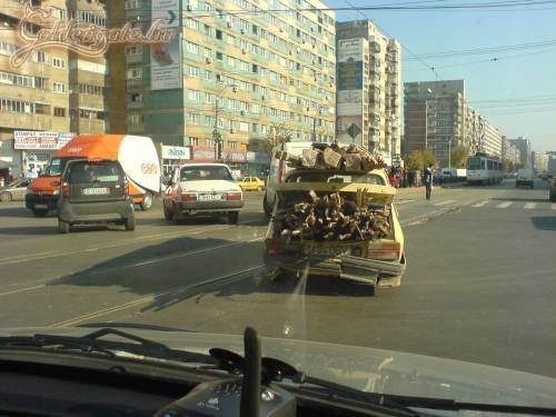 Még férne rá szerintem bőven!